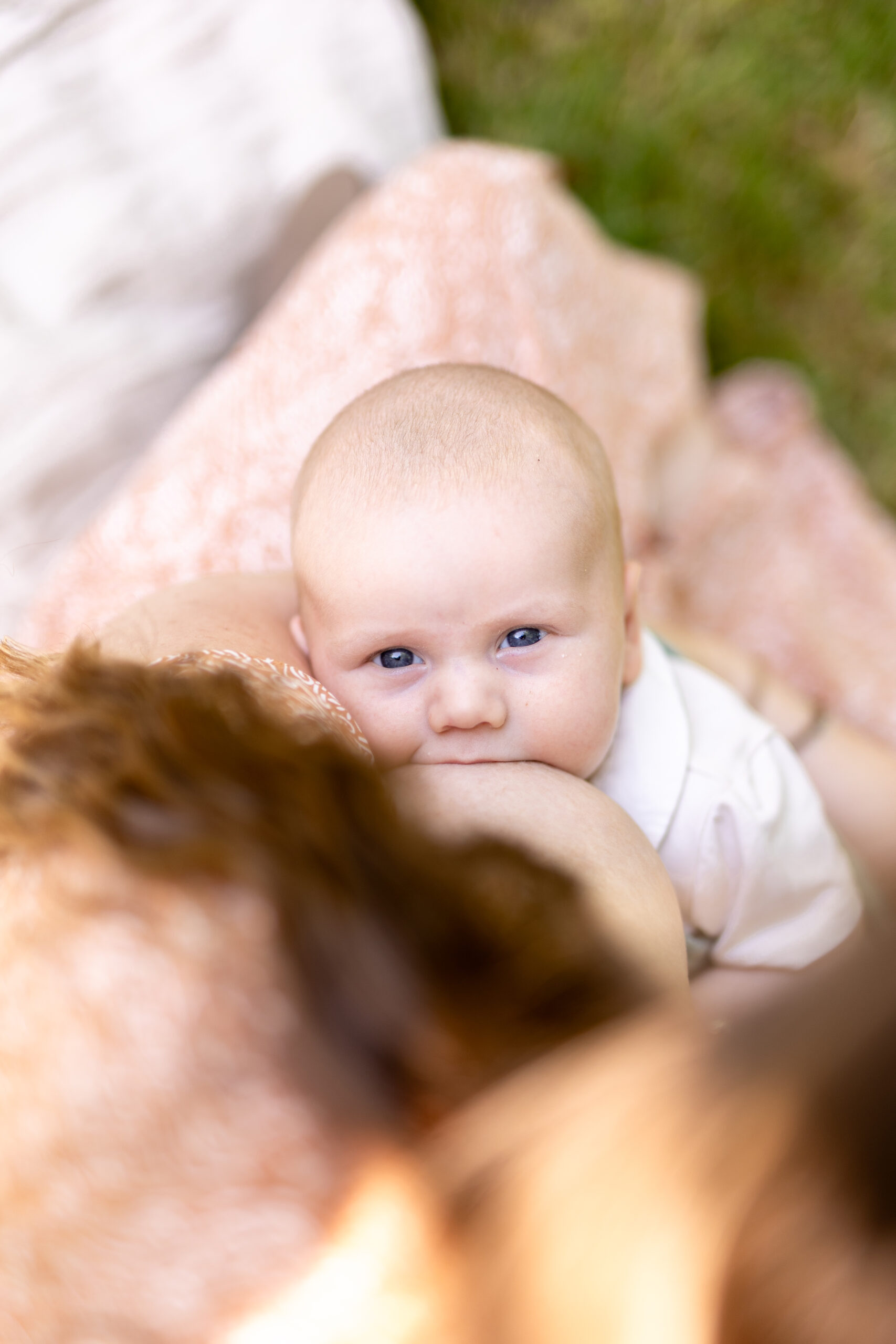 Charlotte Photographe — Photographe professionnelle