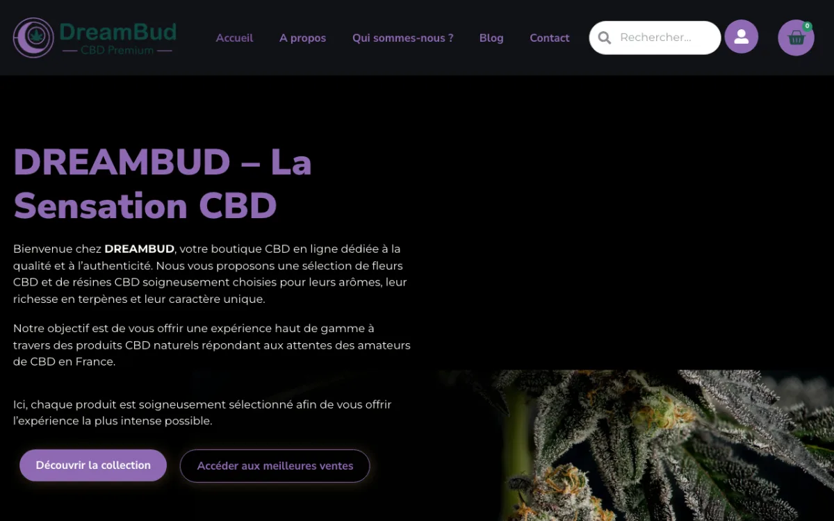 DreamBud CBD — Boutique CBD en ligne