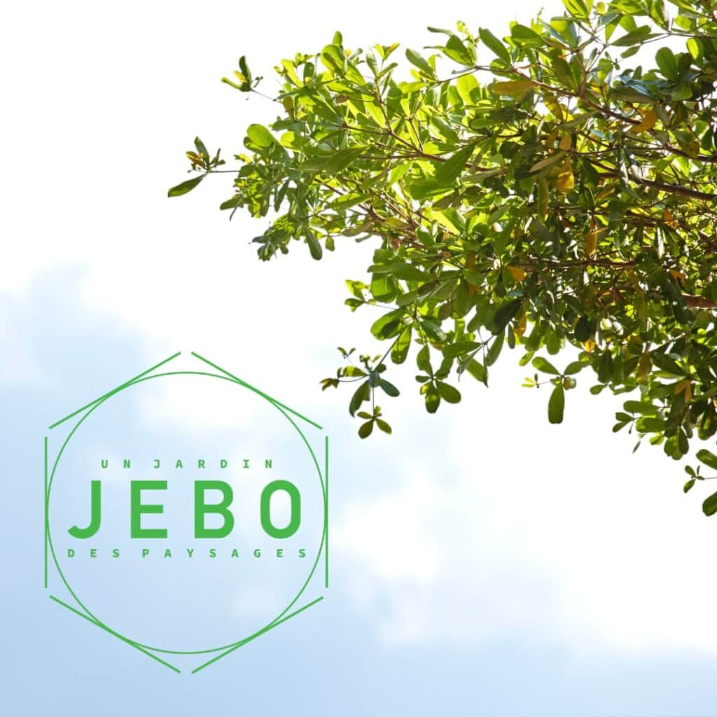 Jebo-Paysages — Paysagiste sur Armentières