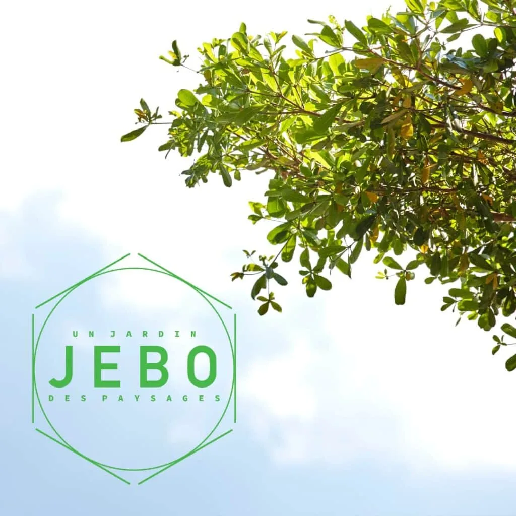 Jebo-Paysages — Paysagiste sur Armentières — réalisation site web Start-Win
