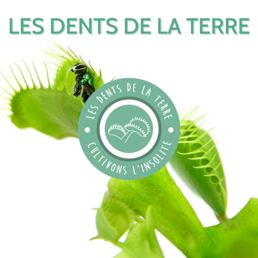 Les dents de la terre — Cultivons l'insolite