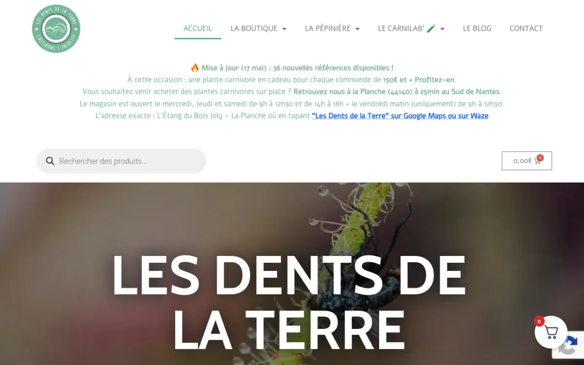 Les dents de la terre — Cultivons l'insolite — réalisation site web Start-Win