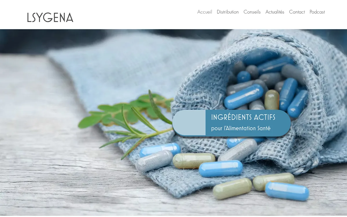 LSYGENA — Ancien site Wix