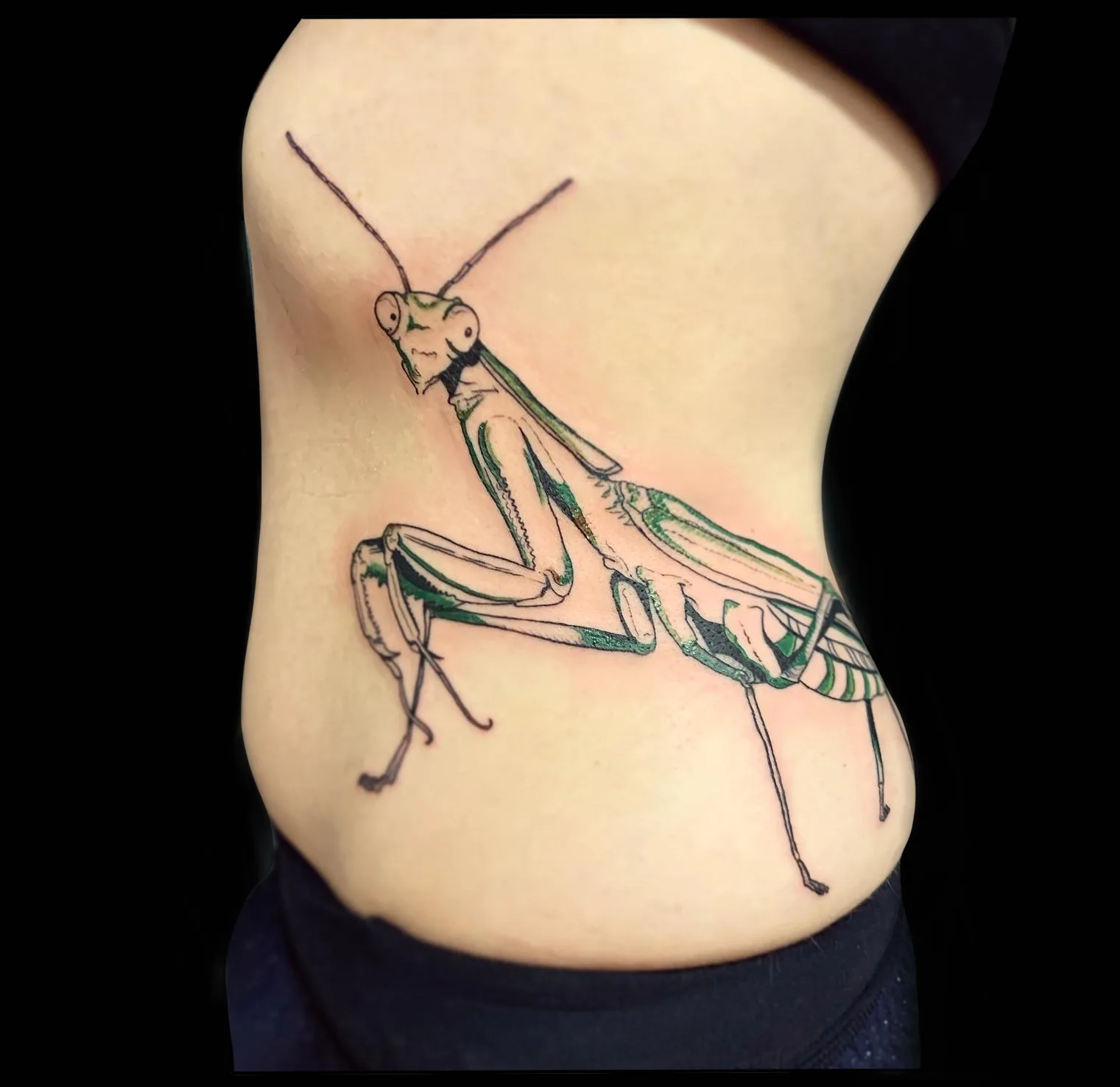 Tatouage fine line mante religieuse — Annahata, tatoueuse Loroux-Bottereau