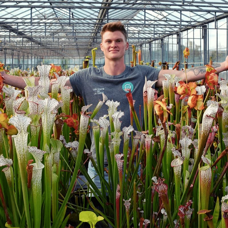 Enzo defer les dents de la terre